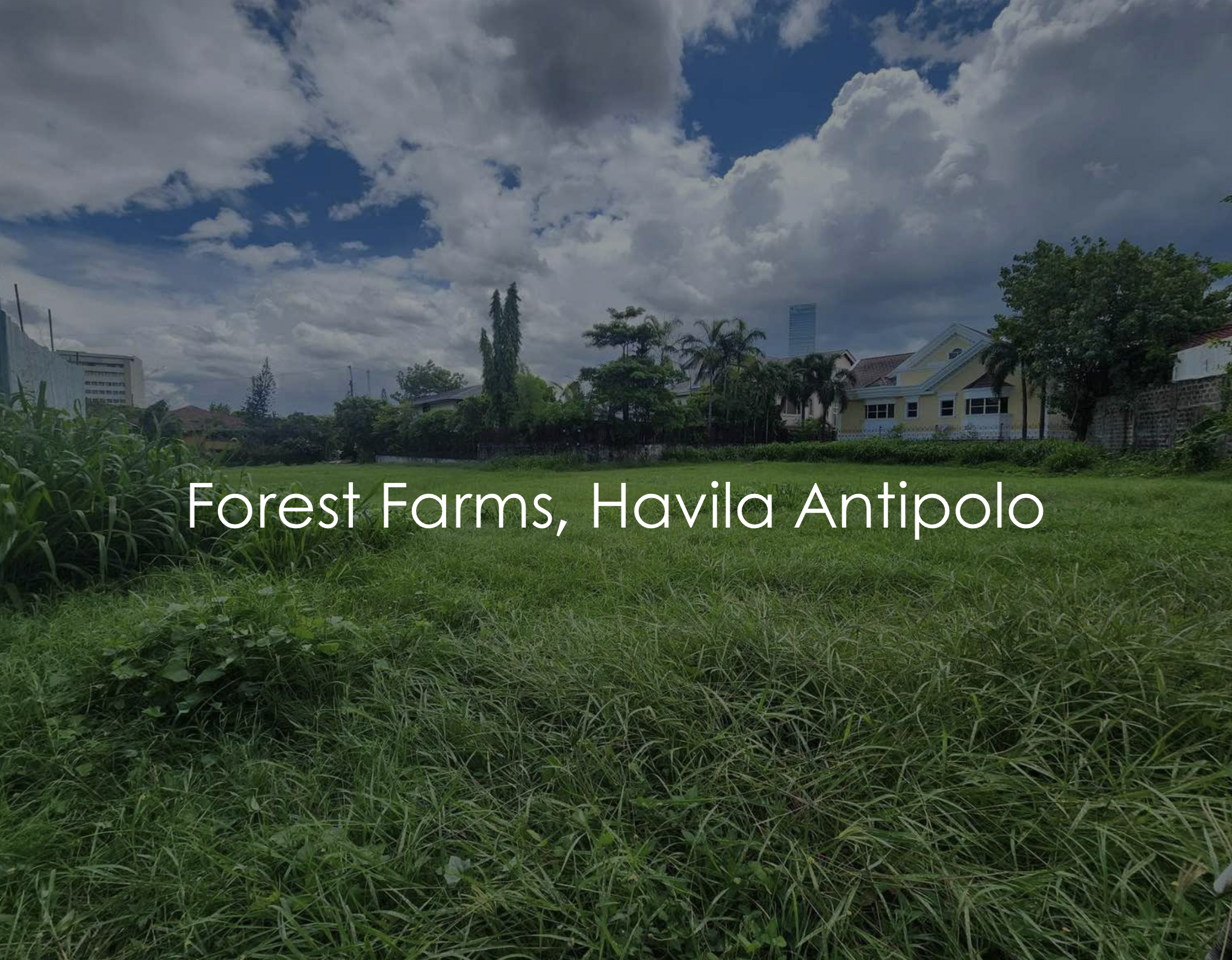 880SQMFarmLotforSaleinForestFarms,Havila,Antipolo-1.jpg